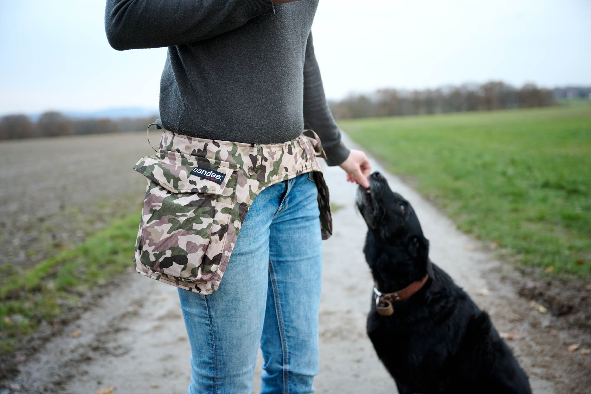 Owney bandee: pouch+