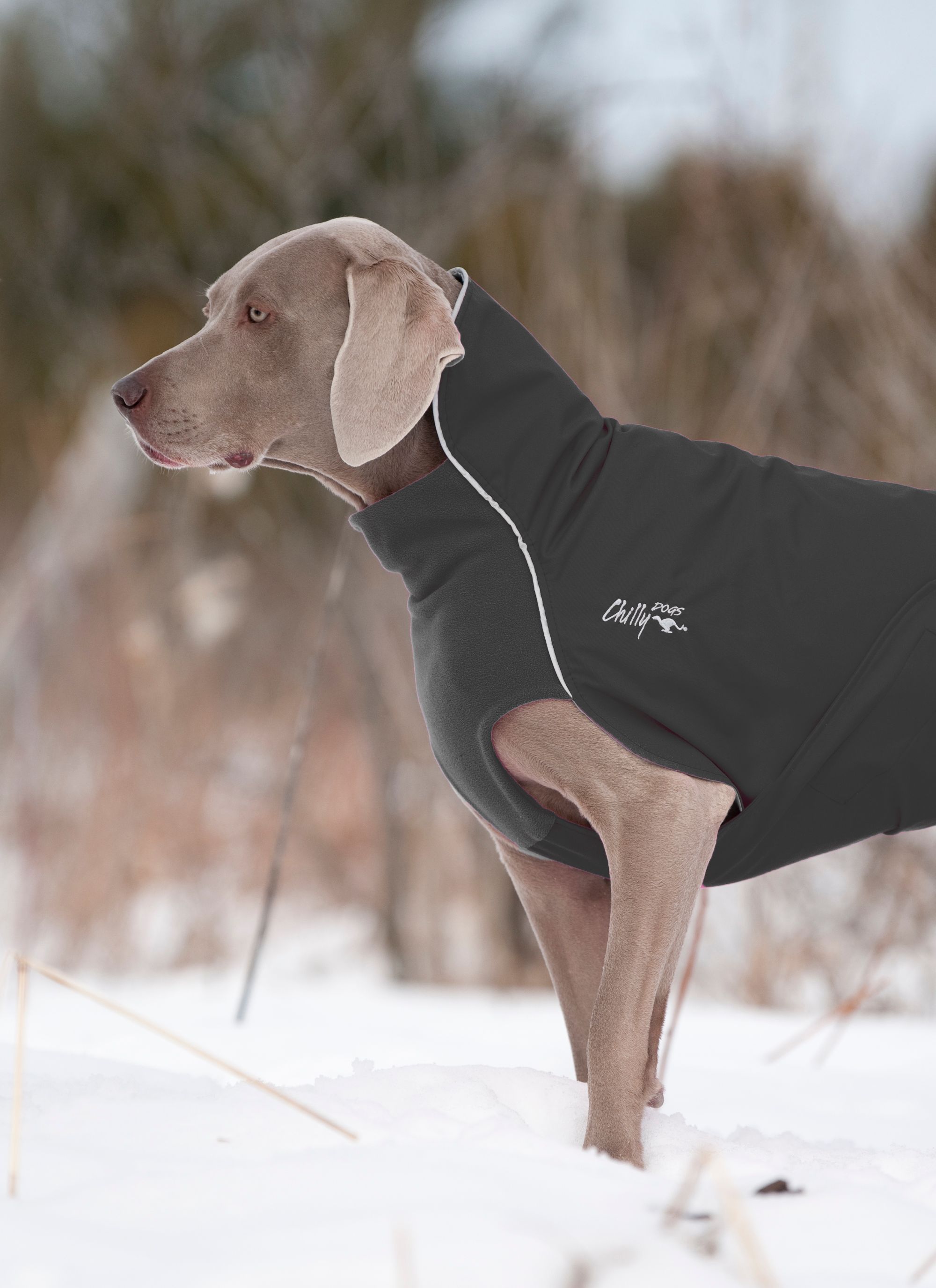 Chilly Dogs Harbour Slicker STANDARD