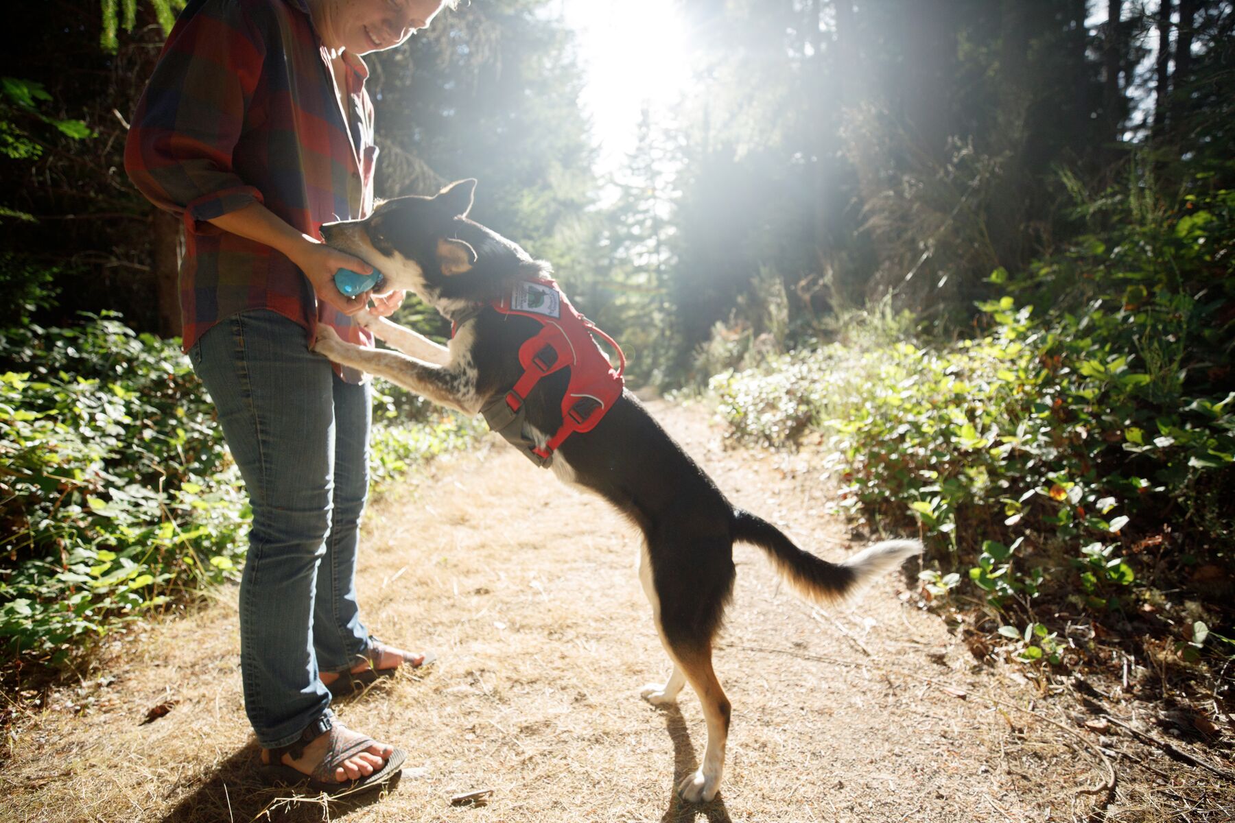 Ruffwear Brush Guard Twilight Gray