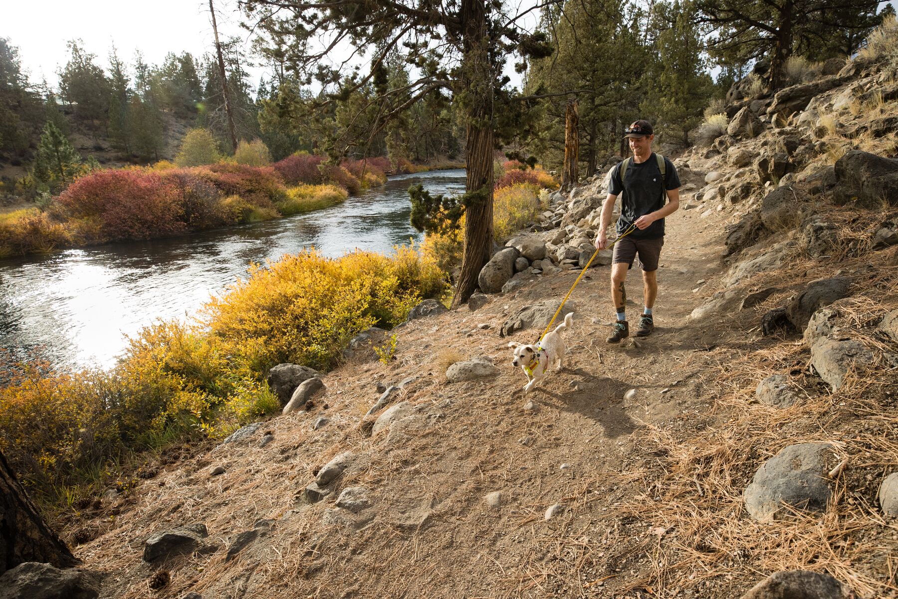 RuffWear Hi & Light™ Harness Lichen Green