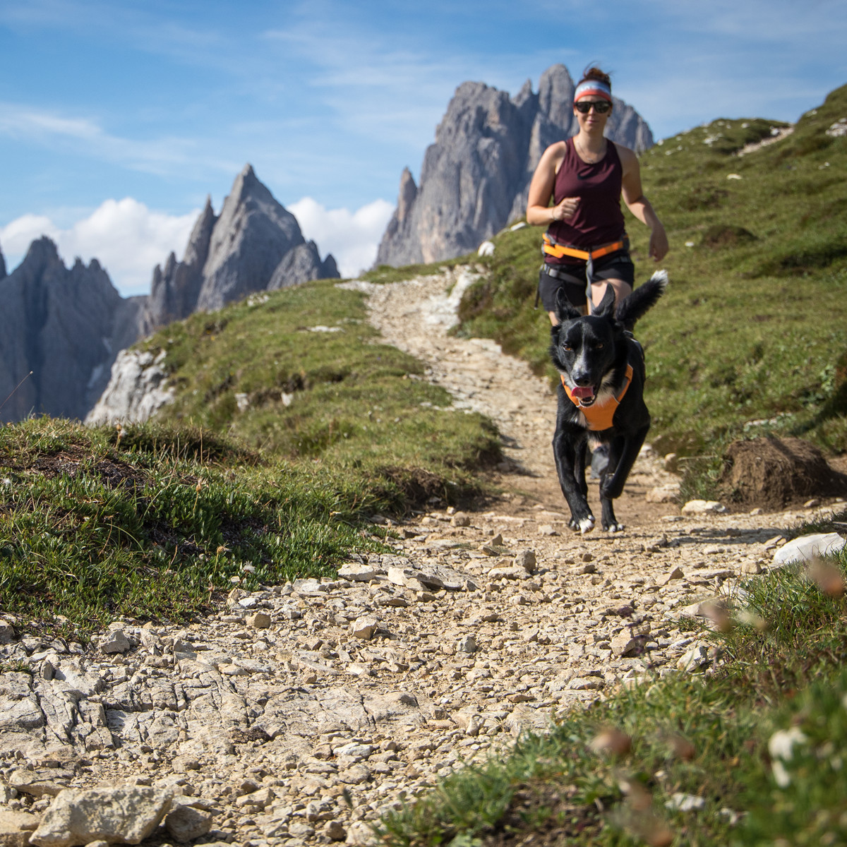 Ruffwear Omnijore Joring System