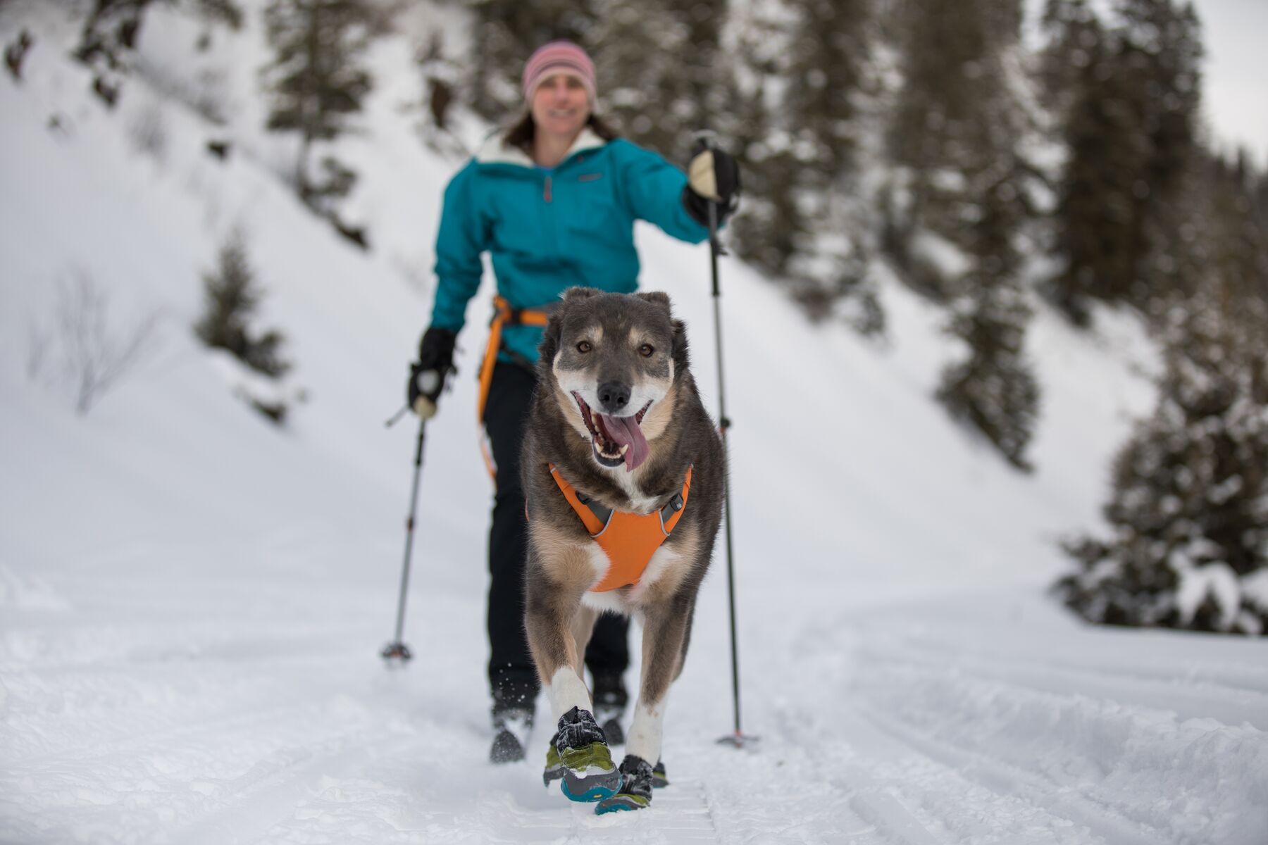 Ruffwear Polar Trex - set of 2 - Forest Green