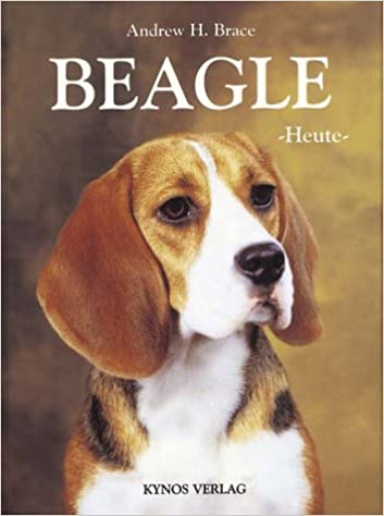 Beagle Heute [Andrew H. Brace, Th. Warneke]