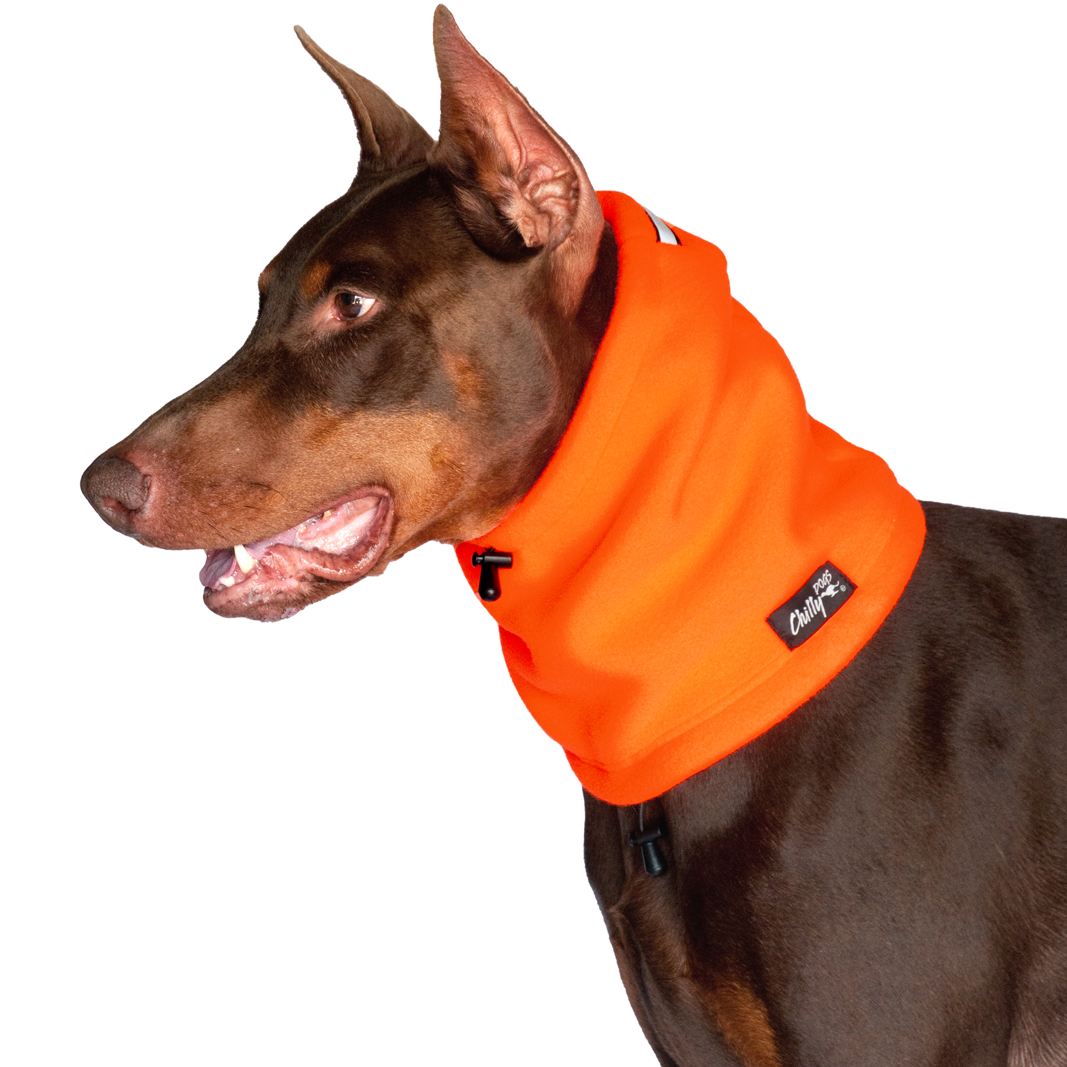 Chilly Dogs Head Muff STANDARD Gr. L, Blaze Orange