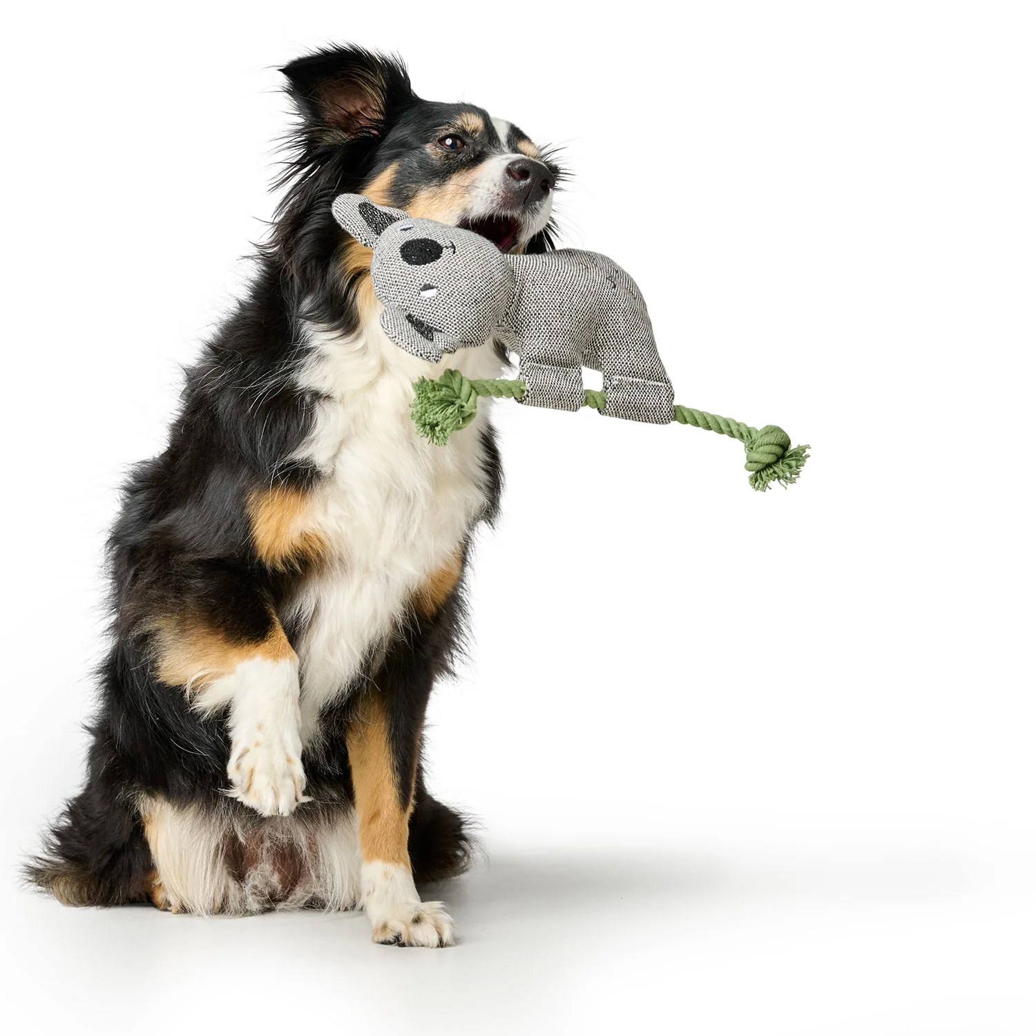 Hunter Recycling-Hundespielzeug Rio