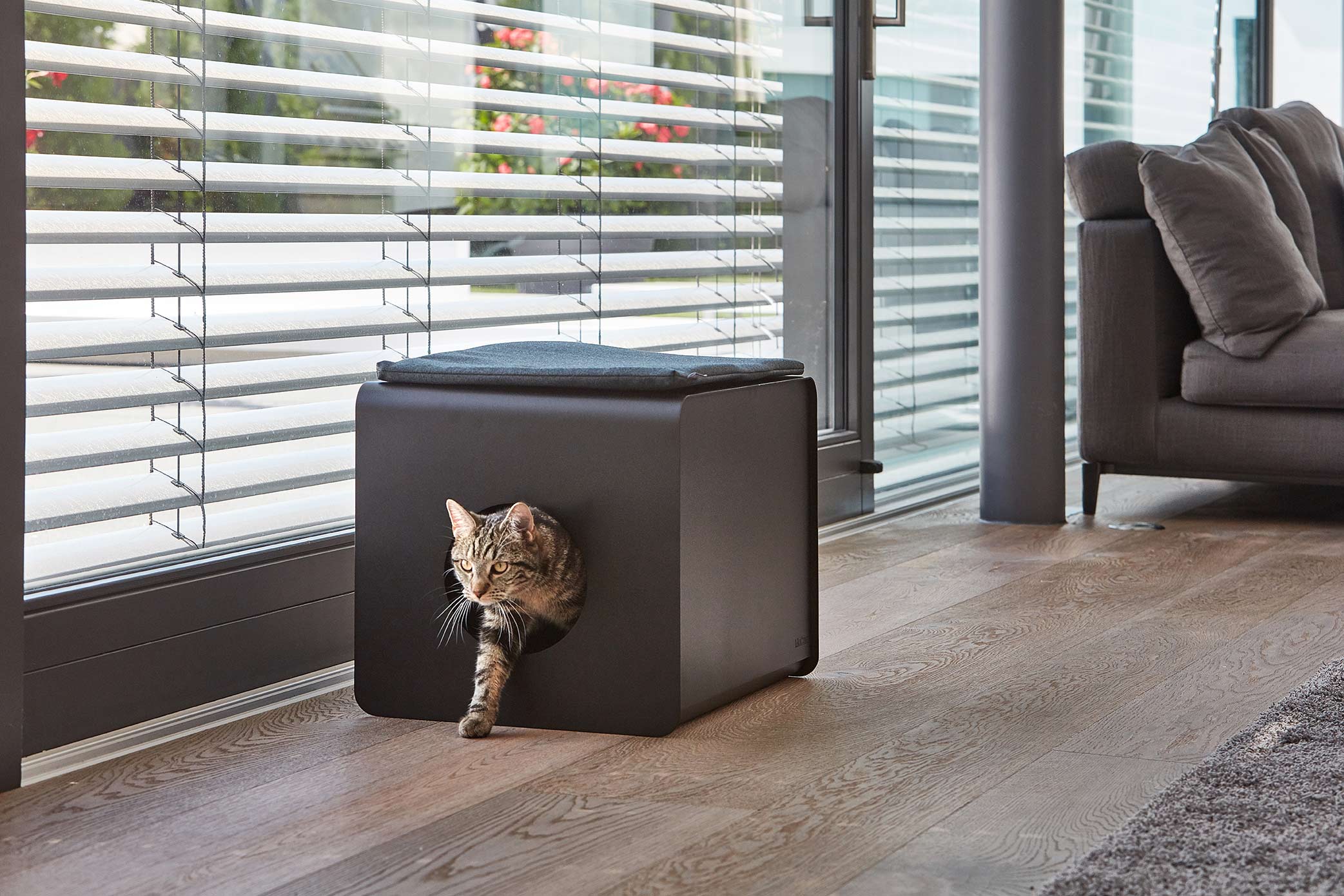 MiaCara Katzentoilette Gatto Sito