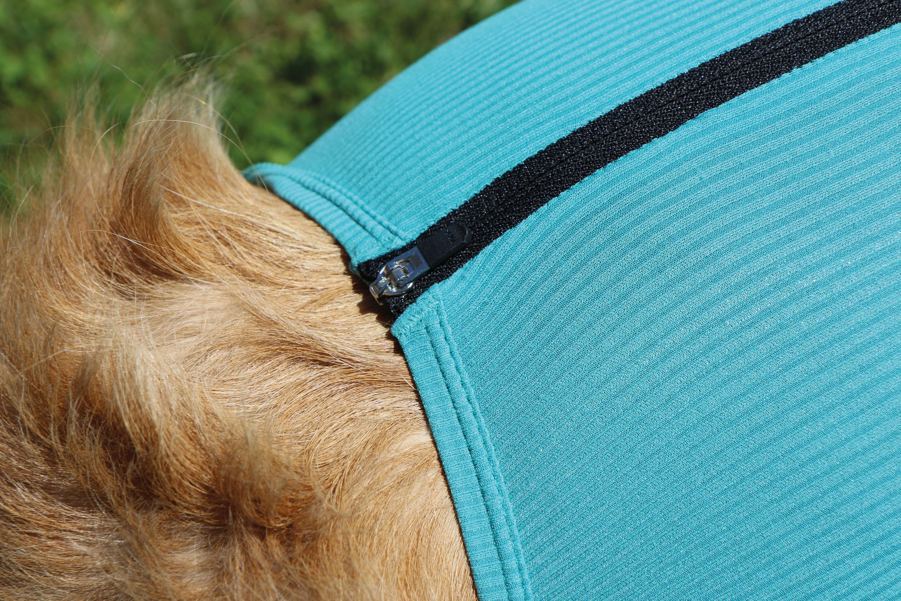 VetMedCare Dog Body mit 4 Beinen und Zipper