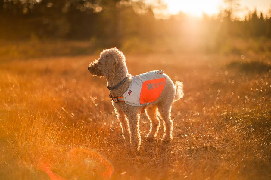 Non-stop dogwear Reflective Vest