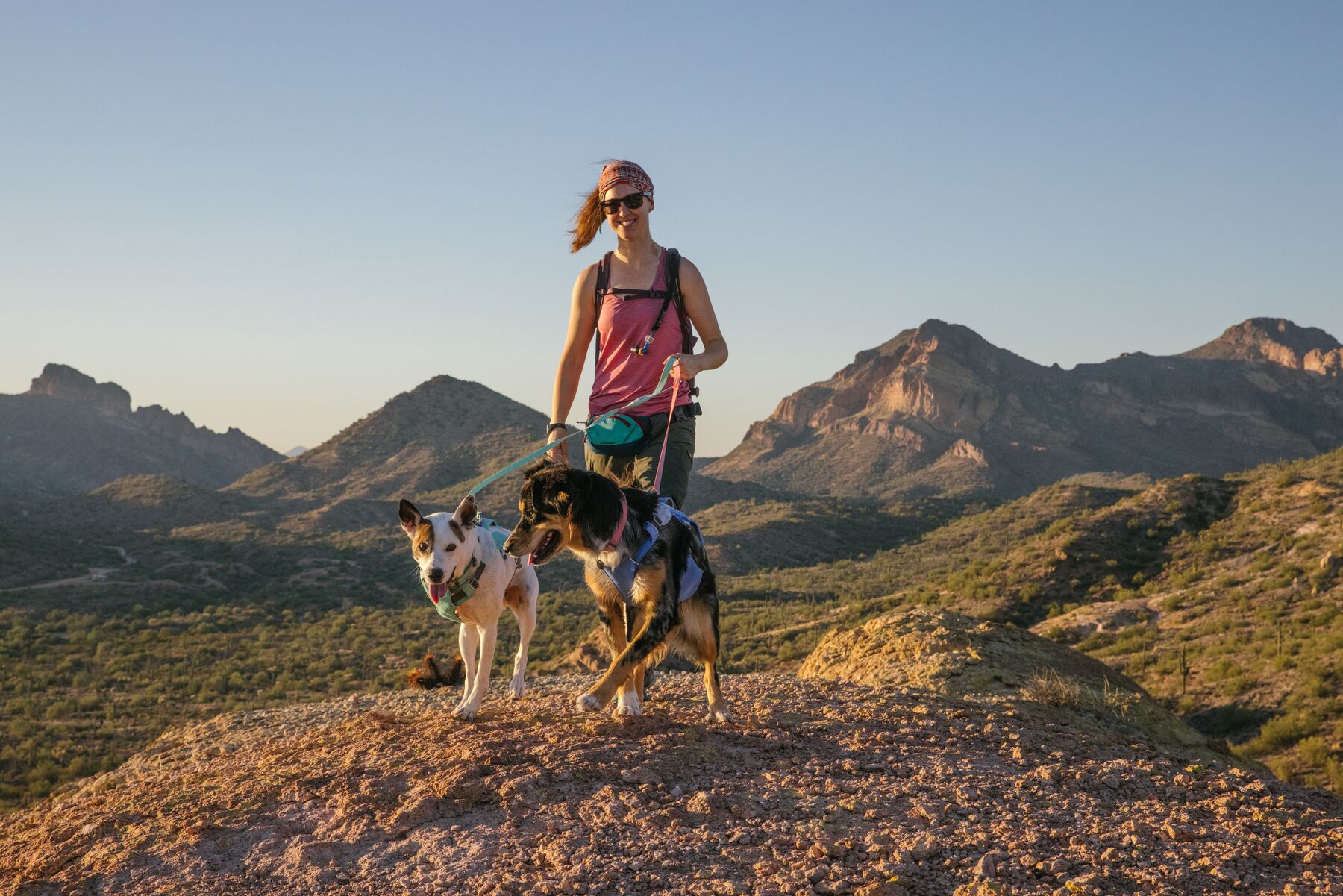 RuffWear Swamp Cooler™ Harness Heliotrope Purple