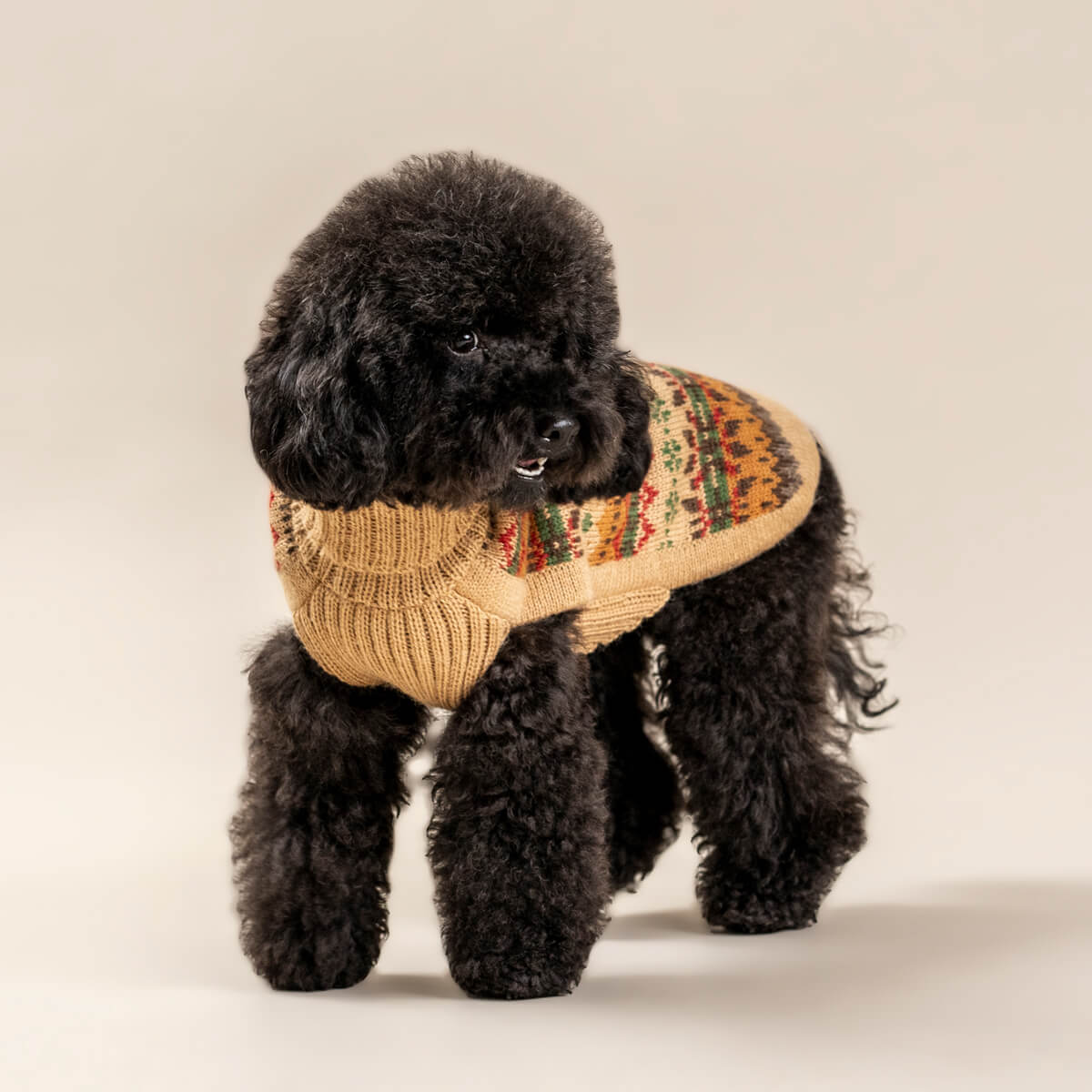 Alqo Wasi Hunde-Pullover Fair Isle Finn