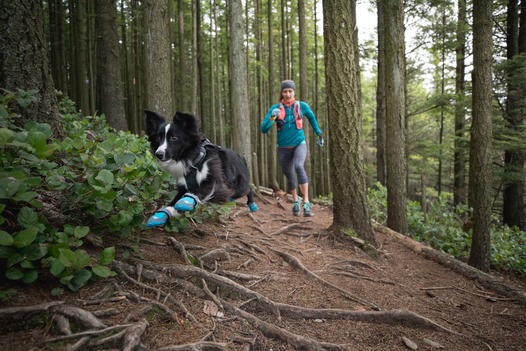 Ruffwear Grip Trex - set of 2 - Blue Spring