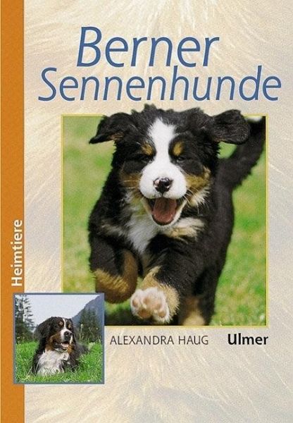 Berner Sennenhunde [Alexandra Haug]