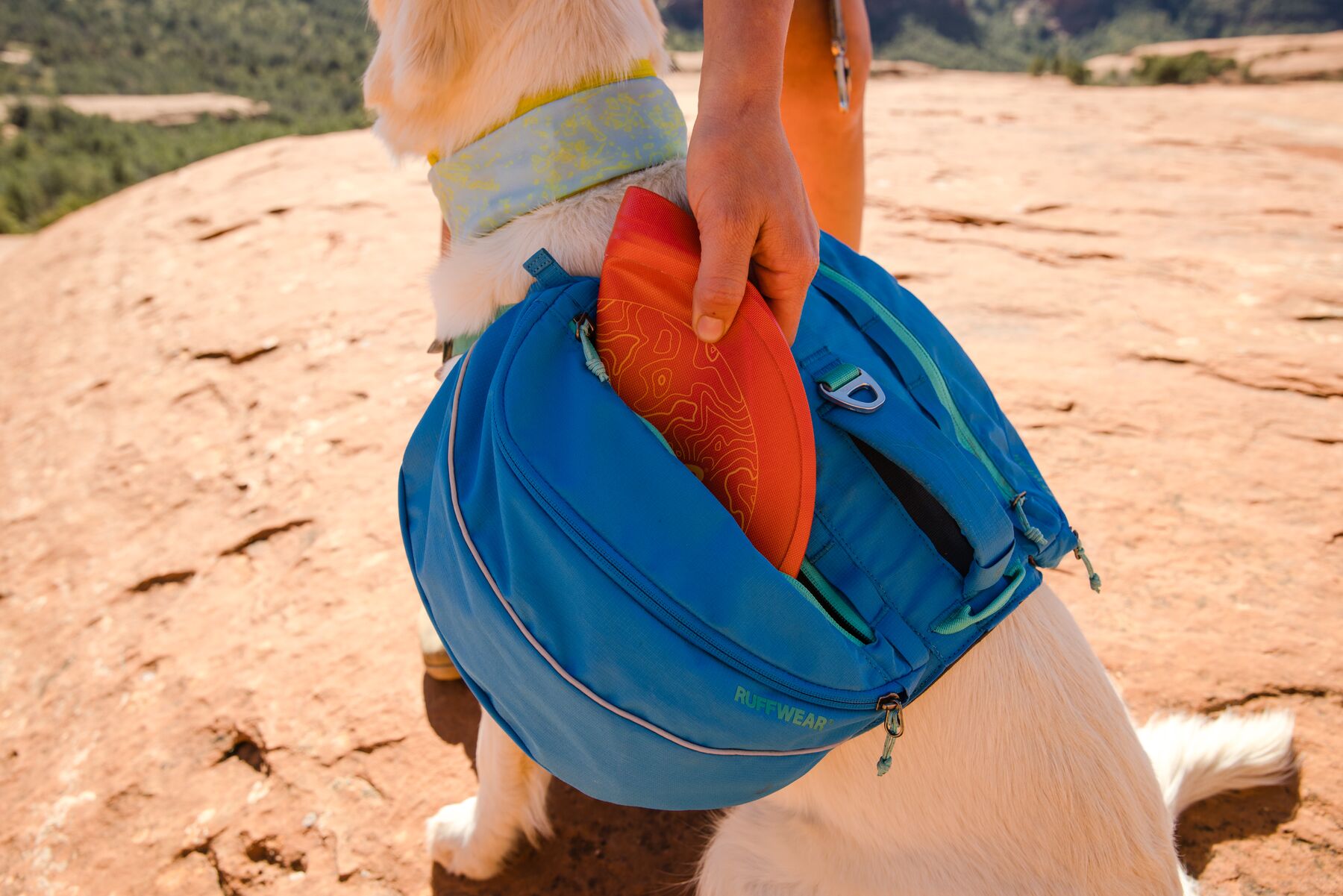 RuffWear Camp Flyer™ Toy Lichen Green RuffWear Camp Flyer™ Toy Lichen Green