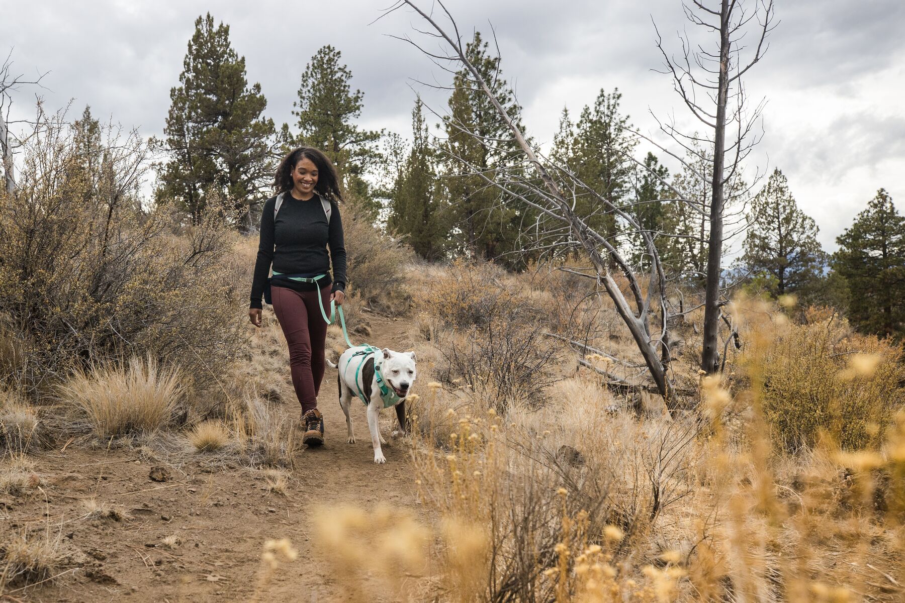 RuffWear Flagline™ Harness Sage Green