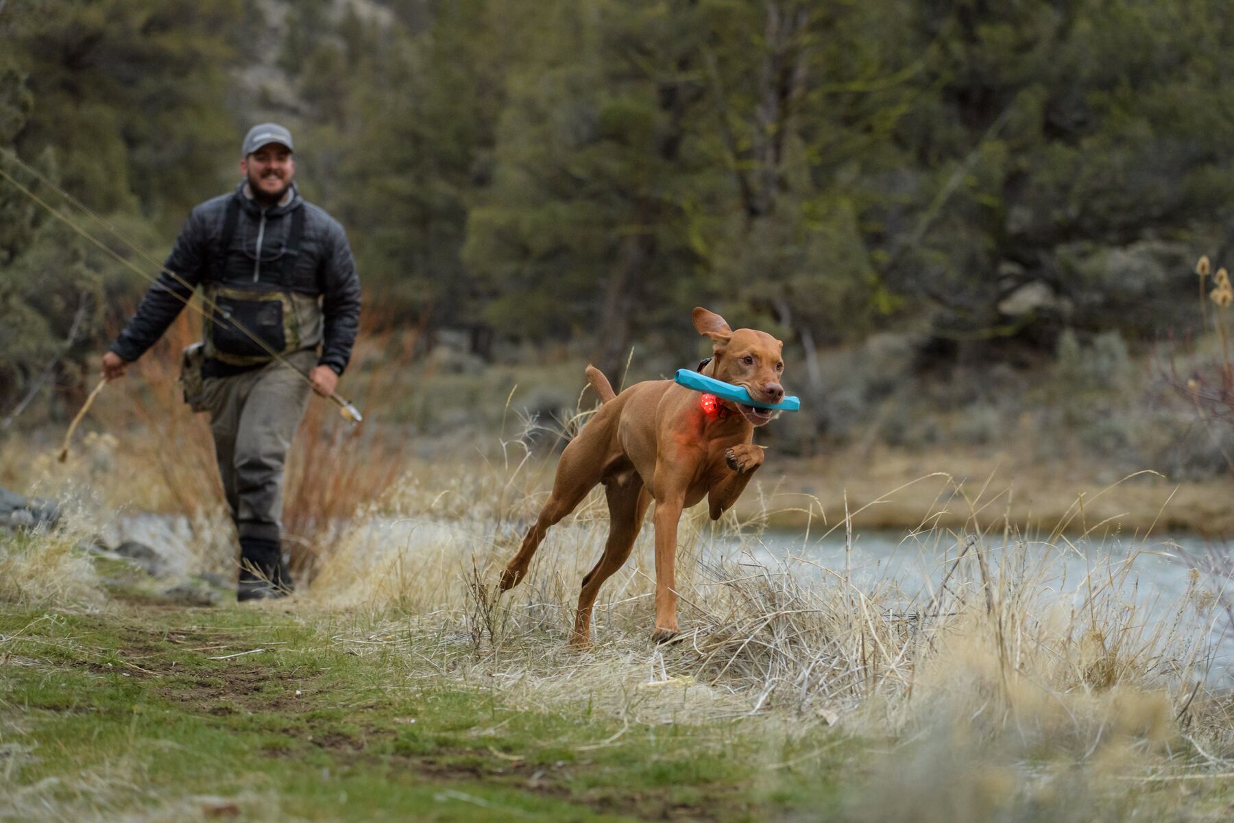 Ruffwear The Beacon Clear Lake one size Ruffwear The Beacon Clear Lake one size