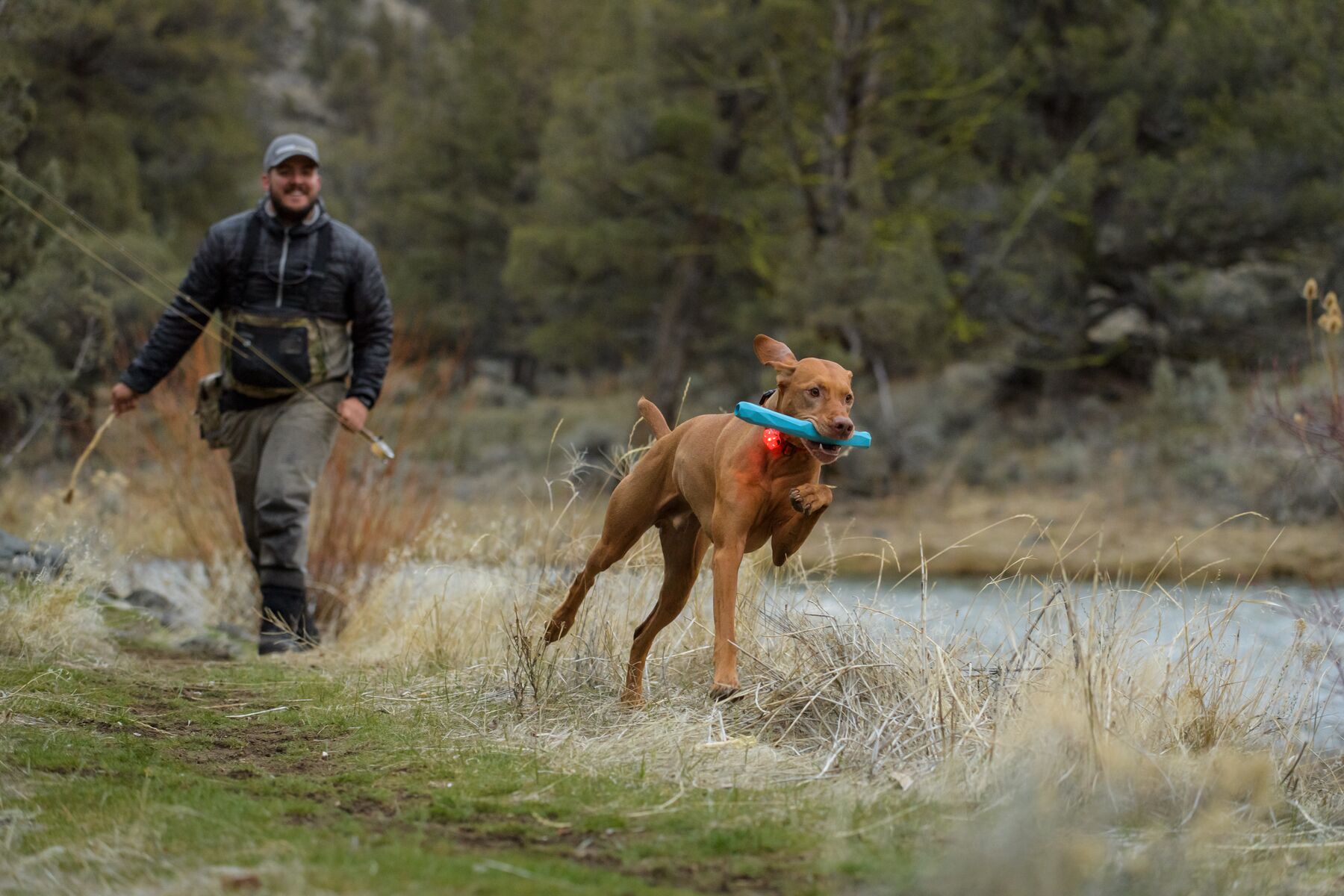 Ruffwear The Beacon Clear Lake one size