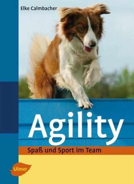 Agility: Spaß u. Sport im Team [Calmbacher]