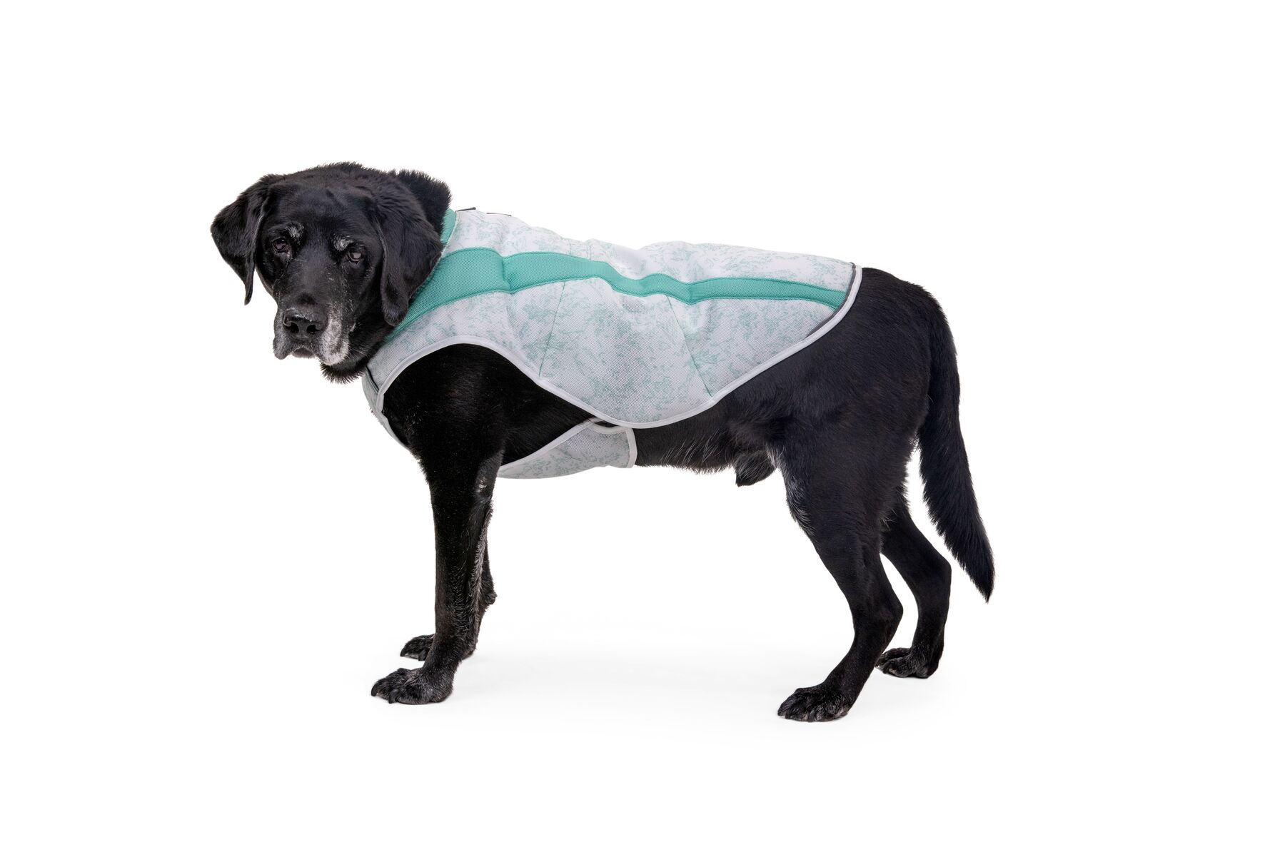 RuffWear Swamp Cooler Vest Sage Green