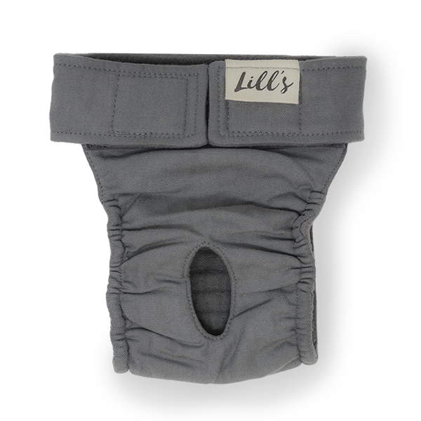 Lill's Läufigkeitshöschen aus Bio-Baumwolle Lou Stone Grey