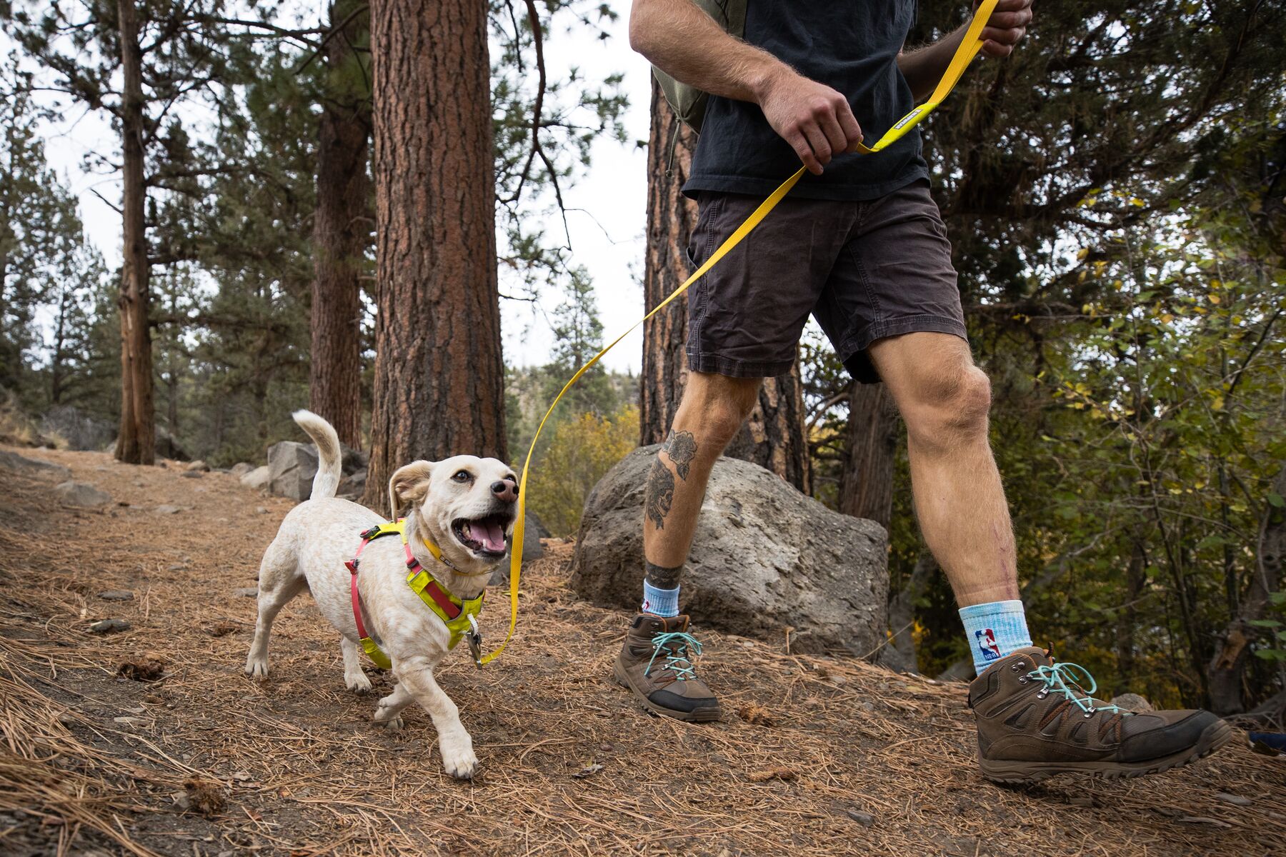 RuffWear Hi & Light™ Harness Lichen Green