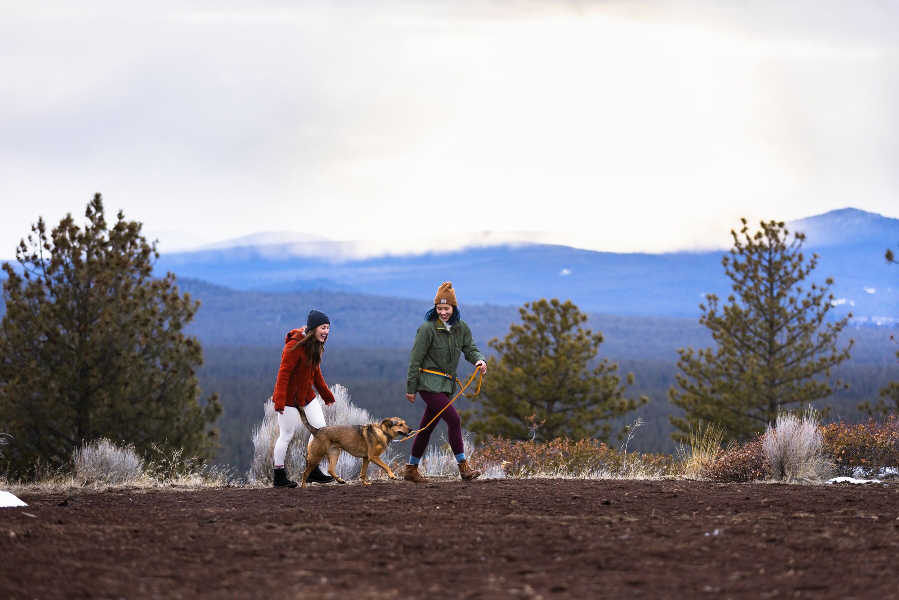 RuffWear Roamer™ Leash Yellow Snow