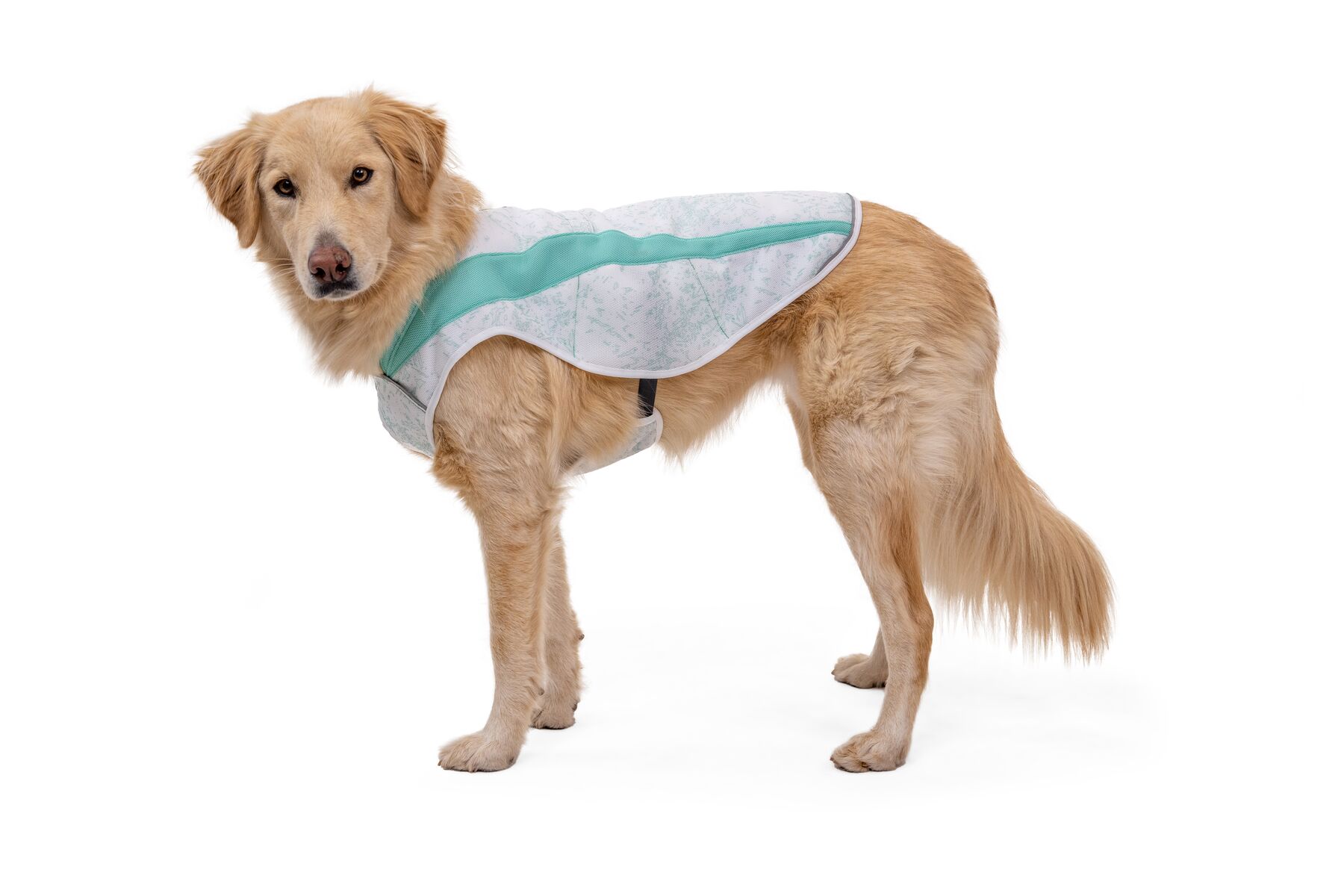 RuffWear Swamp Cooler Vest Sage Green