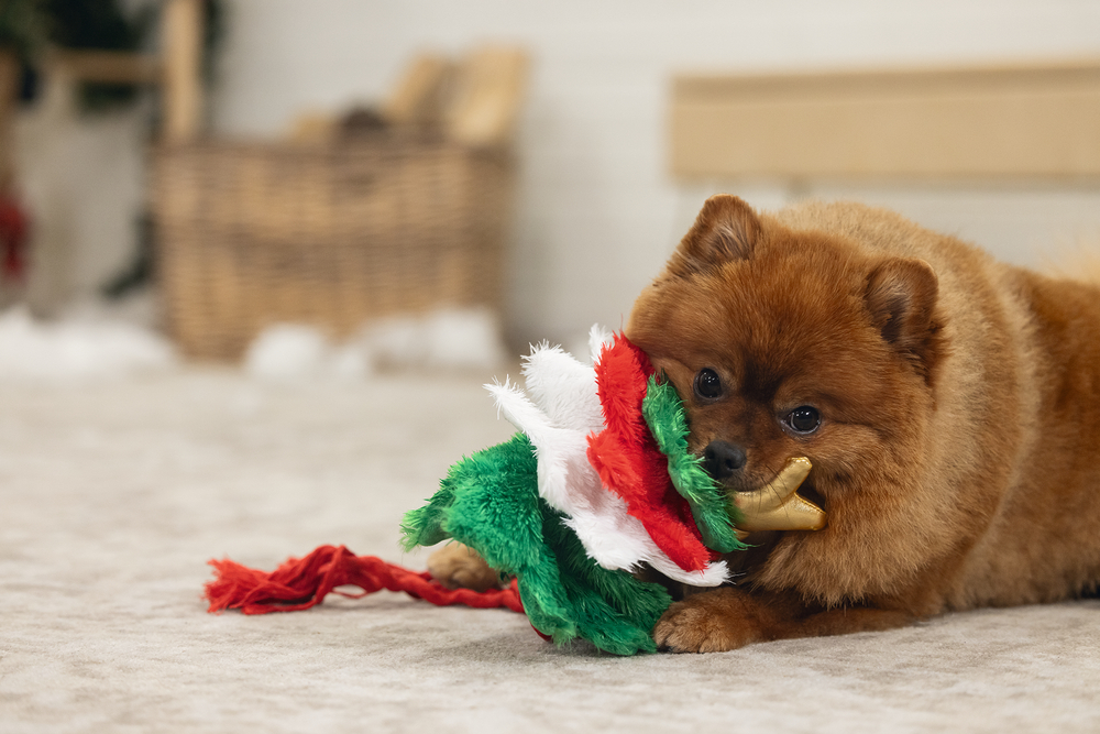 Beeztees Hundespielzeug Weihnachtsbaum Fir 30cm