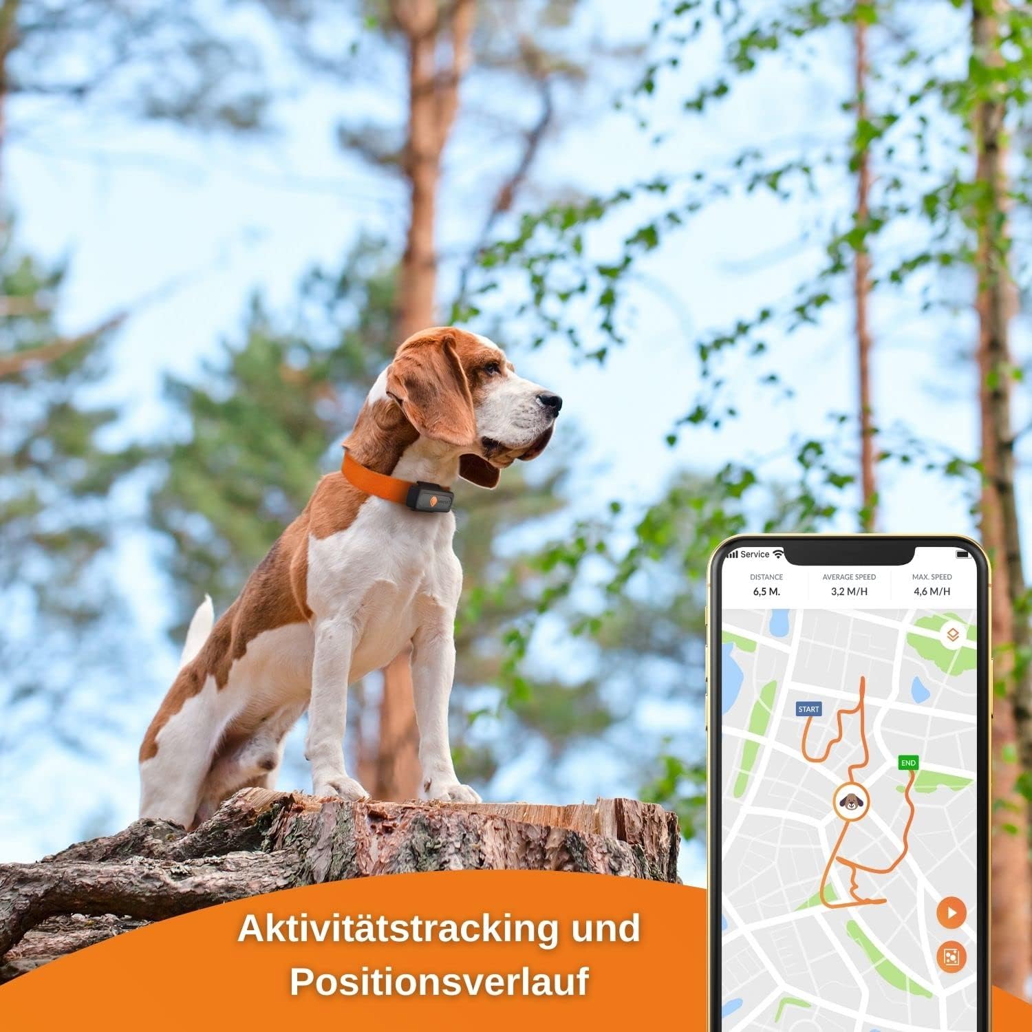 Weenect GPS-Tracker XS Dogs