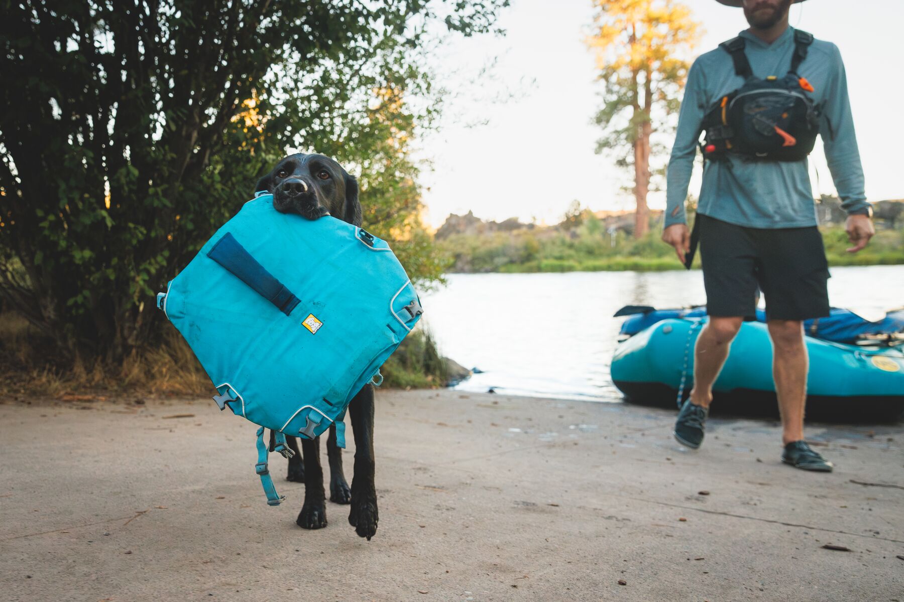 Ruffwear Confluence™ Support Jacket Biolumin Blue Ruffwear Confluence™ Support Jacket Biolumin Blue