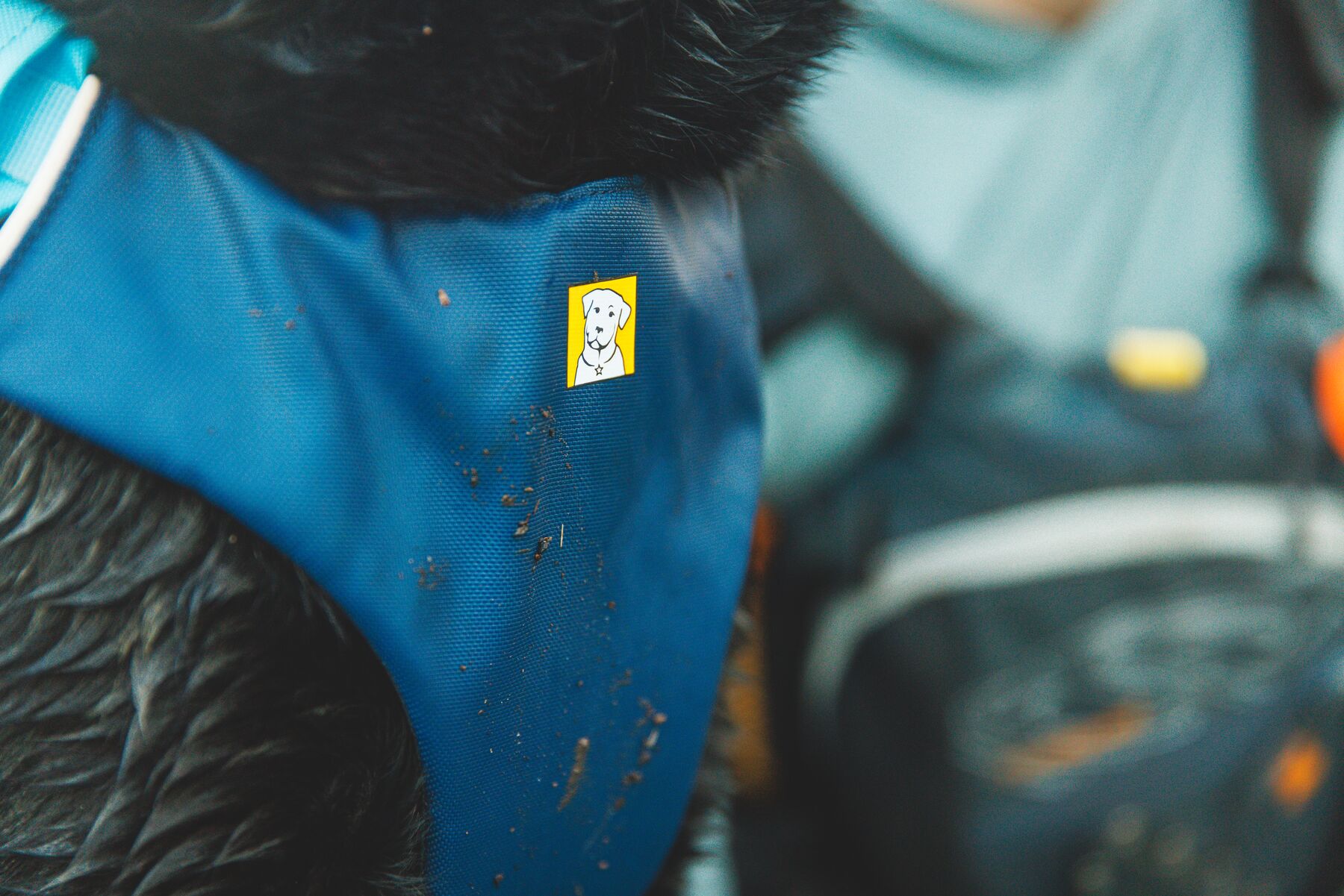 Ruffwear Confluence™ Support Jacket Biolumin Blue Ruffwear Confluence™ Support Jacket Biolumin Blue
