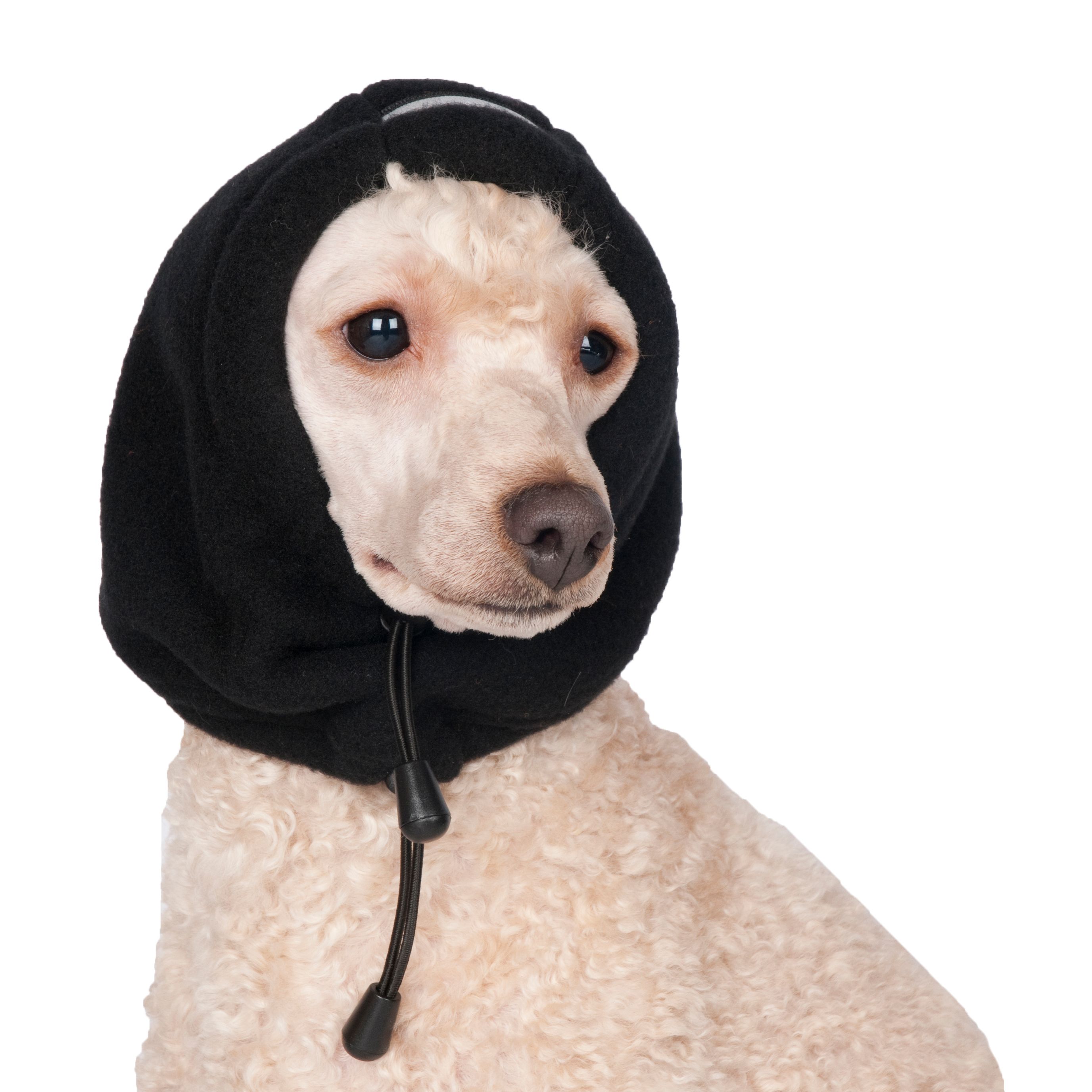 Chilly Dogs Head Muff Chilly Dogs Head Muff