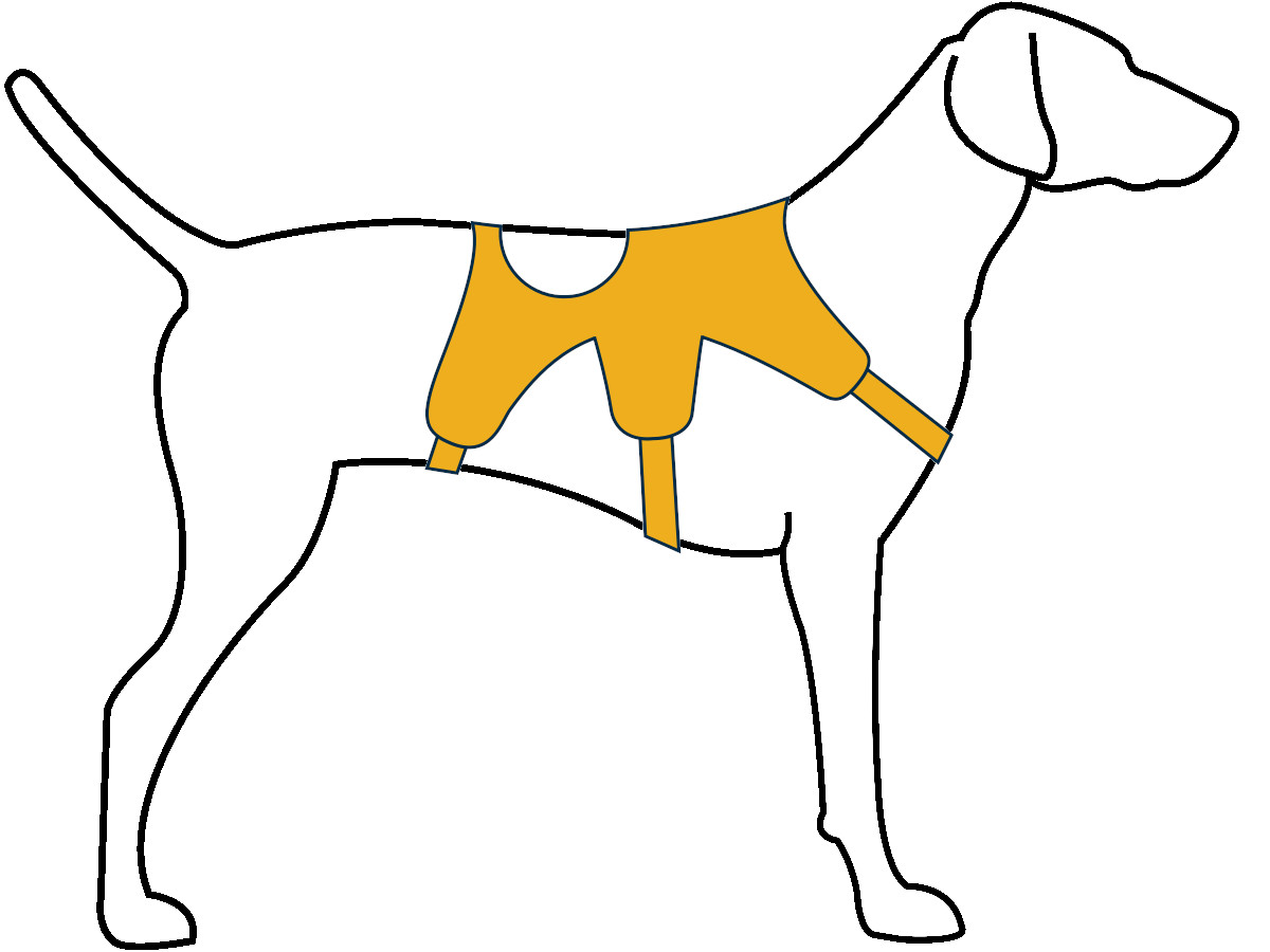 Ruffwear Web Master Harness Blue Dusk