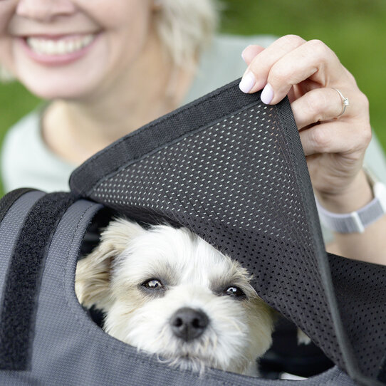KlickFix Doggy Sunshade für Doggy Fahrradkorb