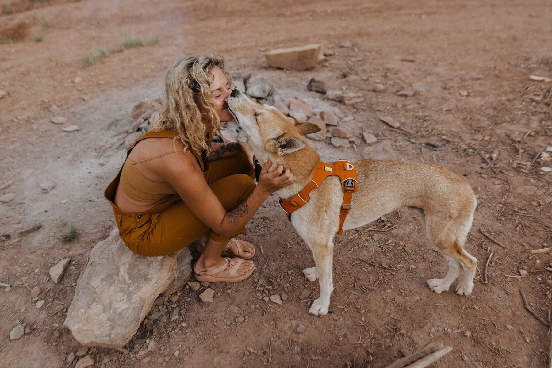 Ruffwear Front Range Harness Campfire Orange