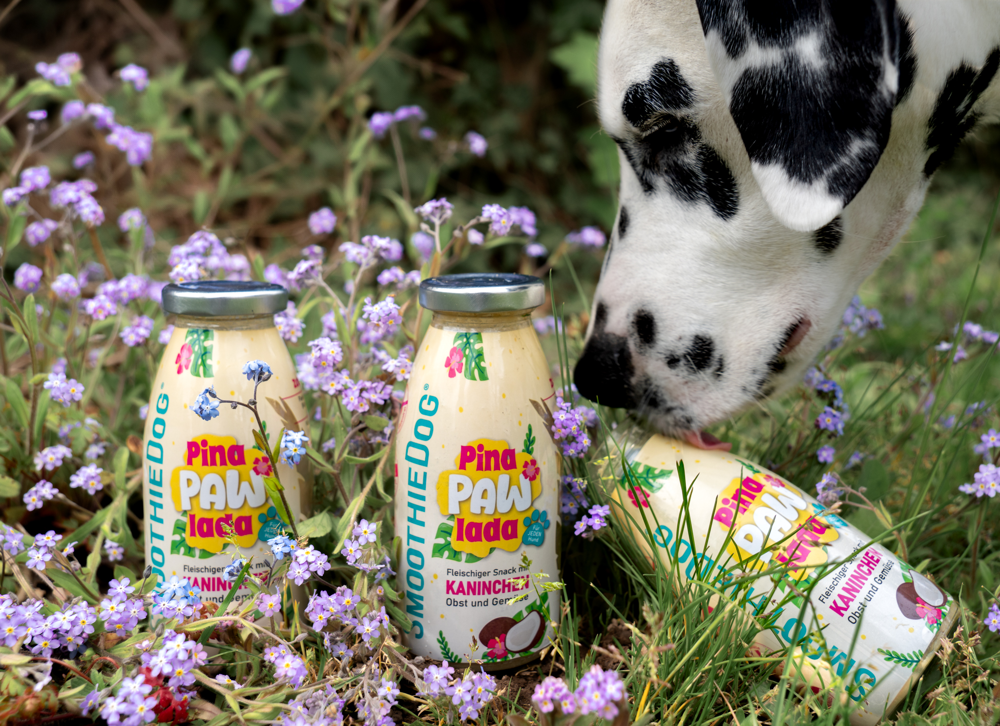 SmoothieDog Summer-Edition PinaPawLada 250ml (Limited Edition 2025)