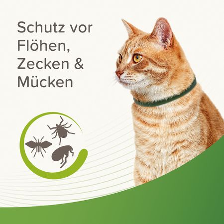 Beaphar Zecken- & Flohschutz Halsband 35cm Katze