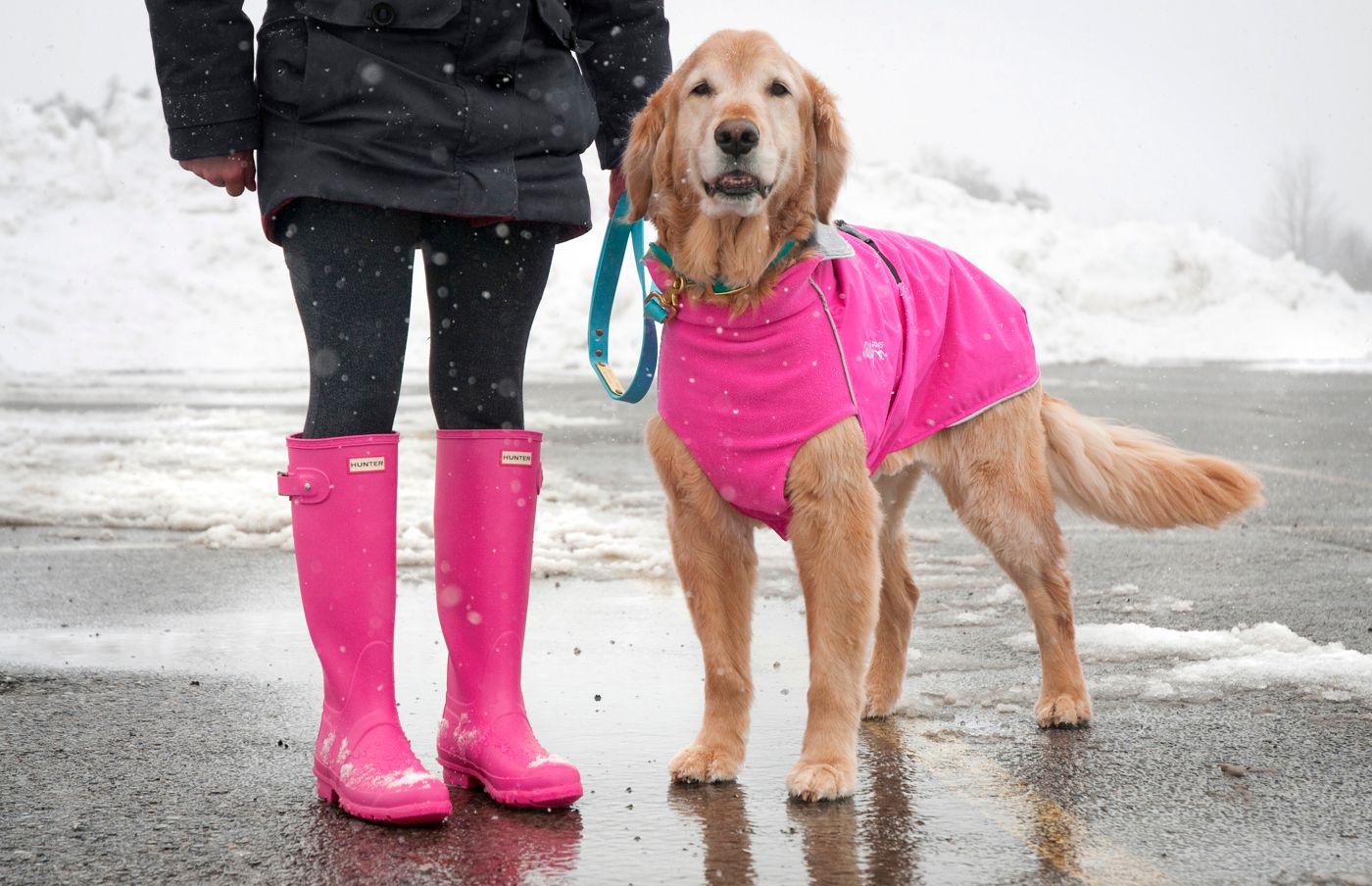 Chilly Dogs Harbour Slicker STANDARD Chilly Dogs Harbour Slicker STANDARD