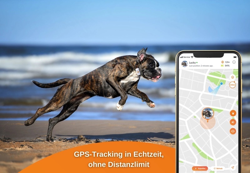 Weenect GPS-Tracker XS Dogs