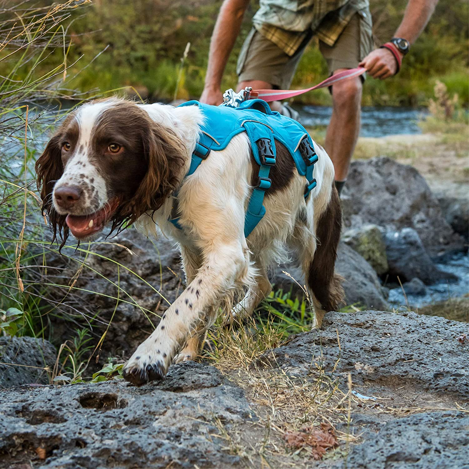 Ruffwear Web Master Harness Blue Dusk