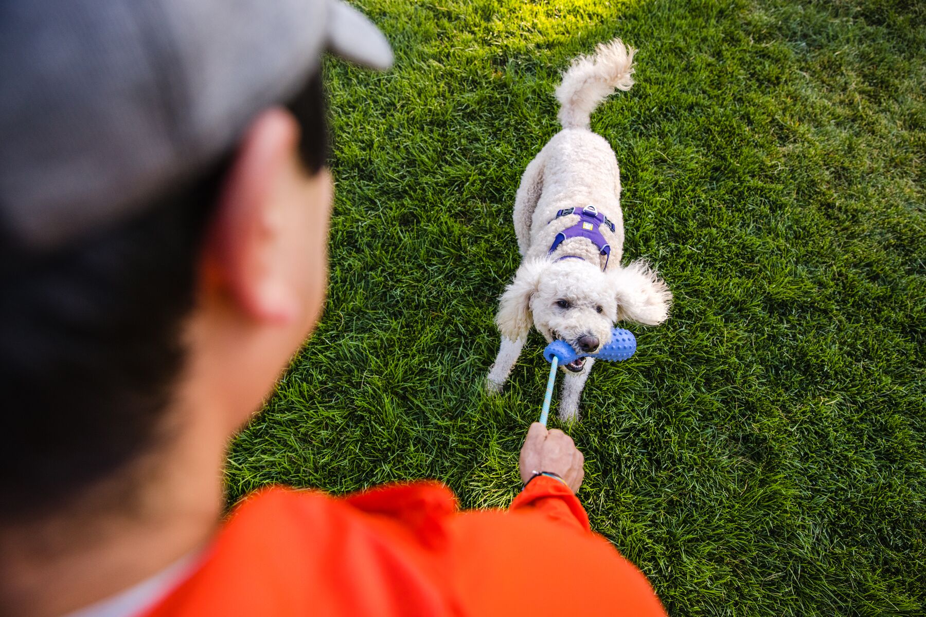 RuffWear Gourdo™ Toy Sage Green