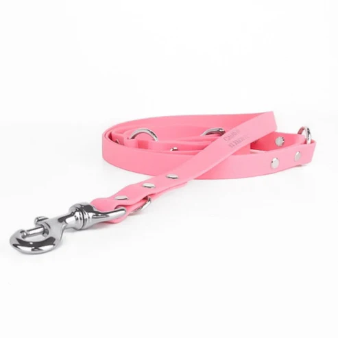Canine Elements Leine Pro