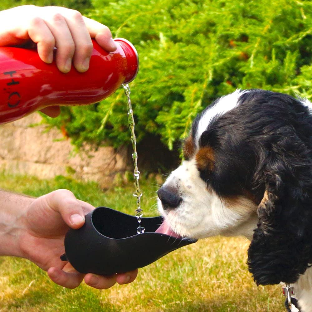 H2O4K9 Flasche mit Trinkbecher 700ml