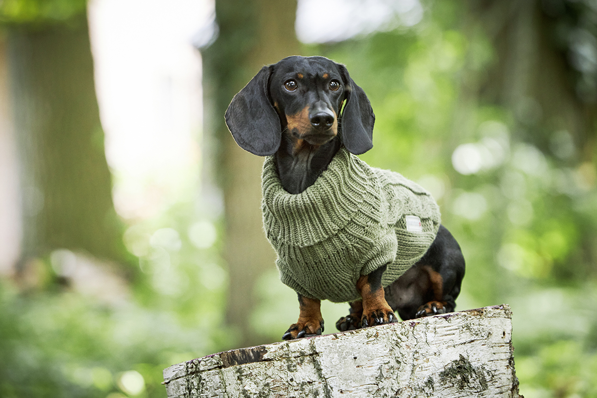 Wolters Zopf-Strickpullover