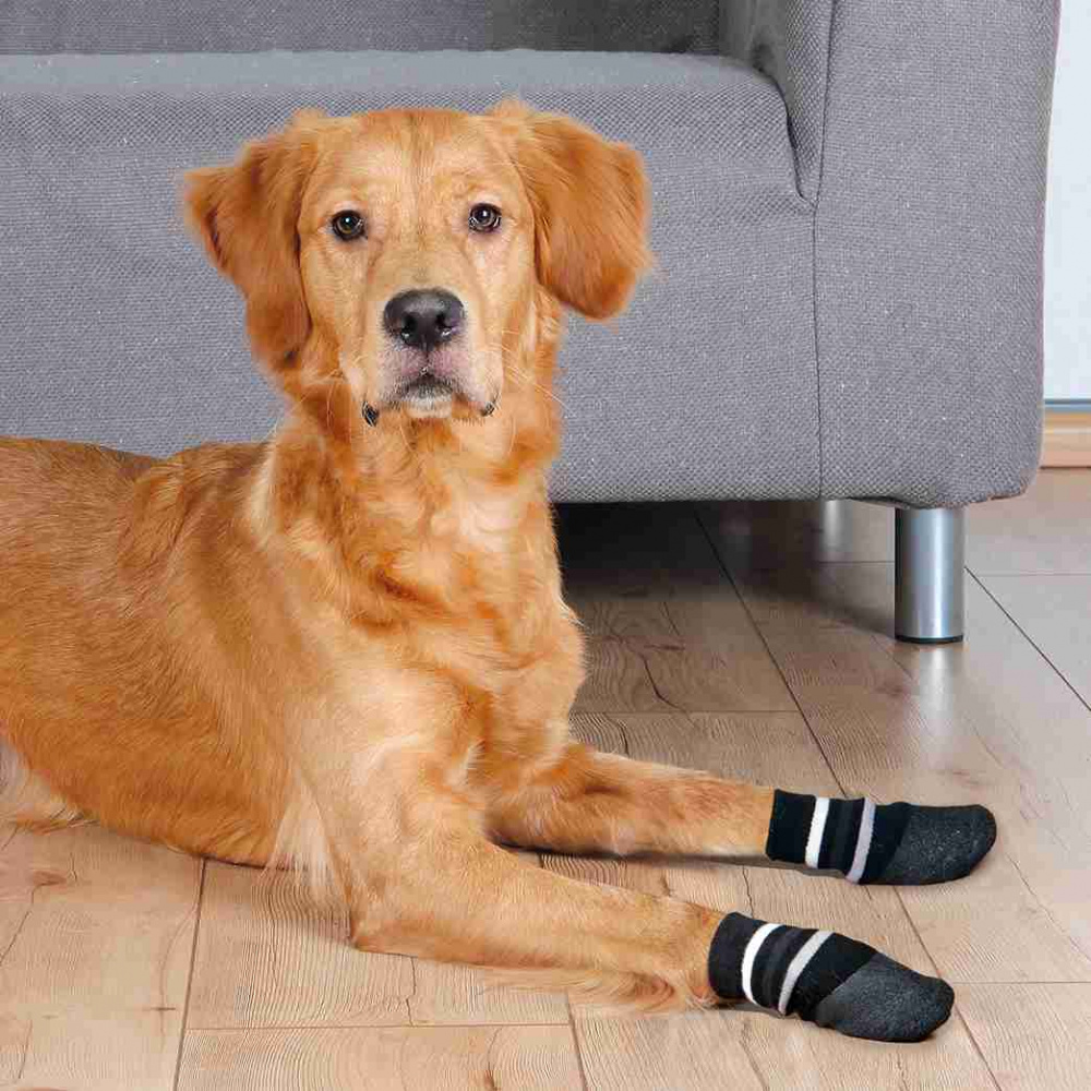 Trixie Hundesocken, Anti-Rutsch