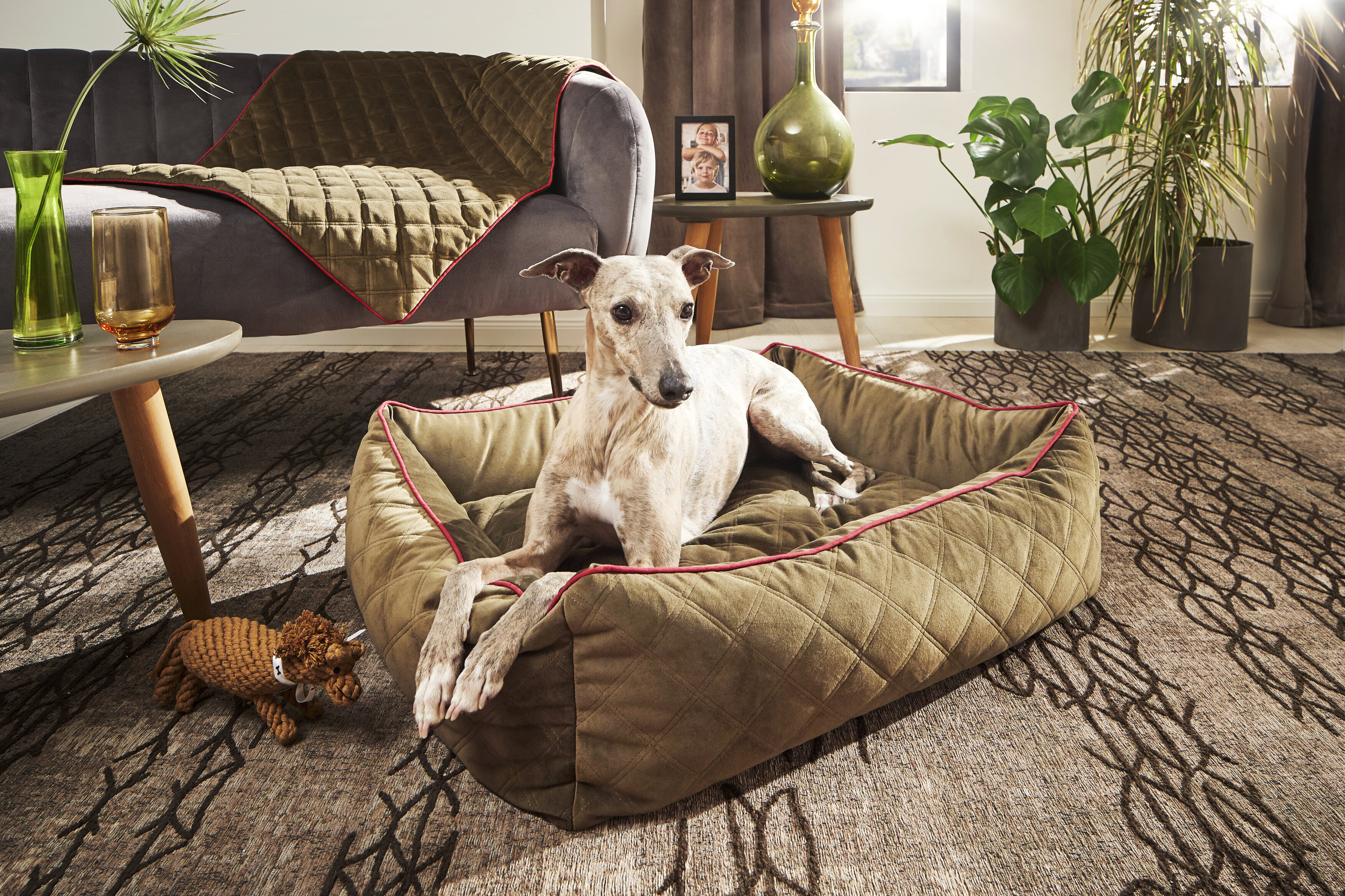Laboni Hundebett OXFORD