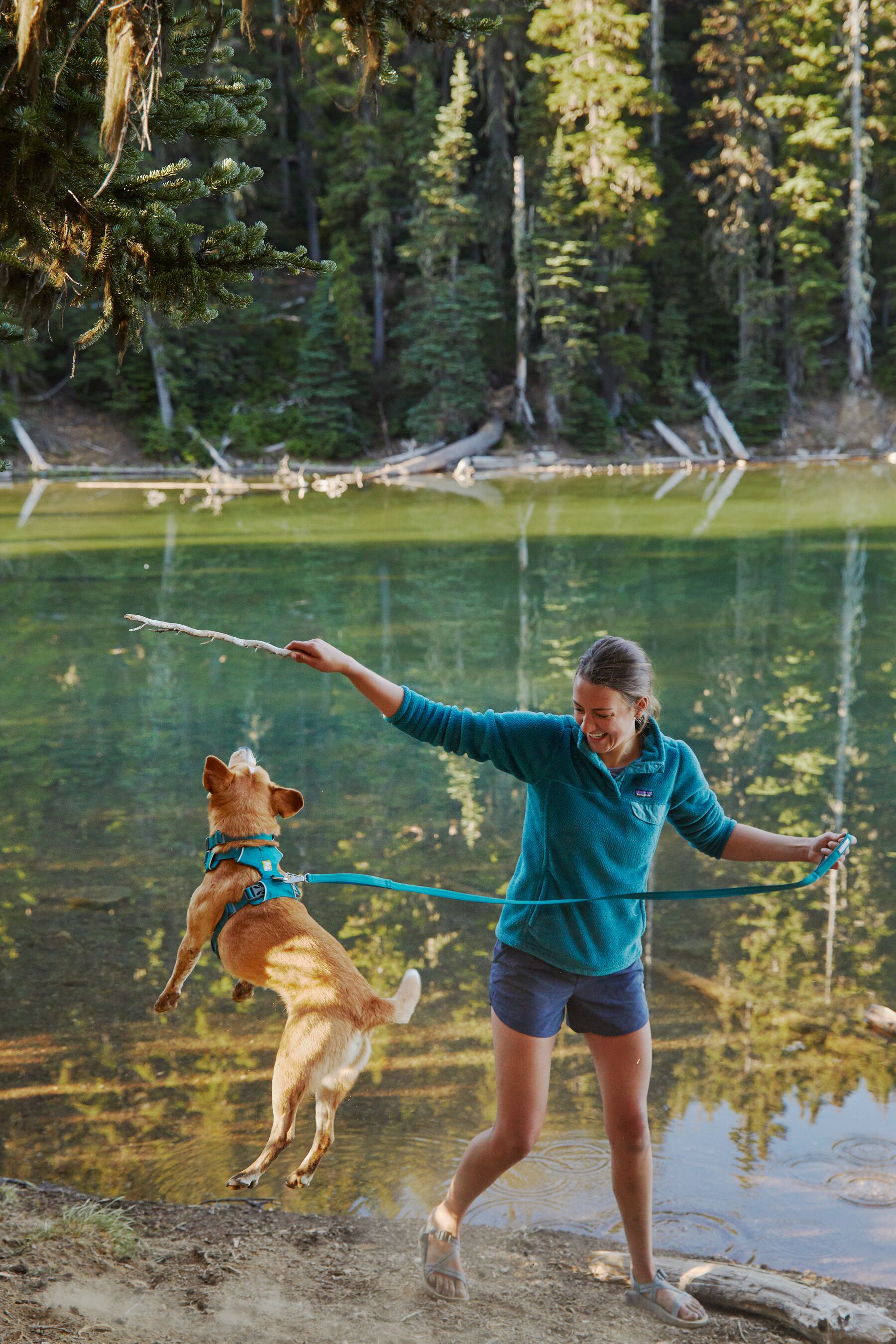 Ruffwear Front Range Harness Tumalo Teal Ruffwear Front Range Harness Tumalo Teal