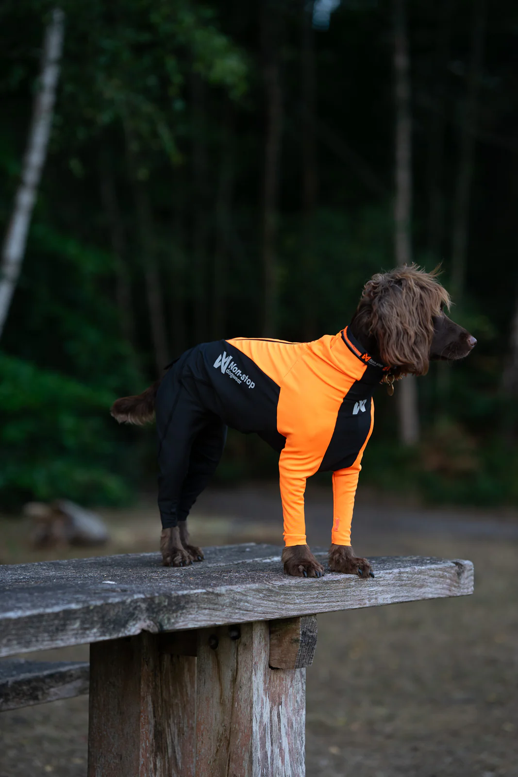 Non-stop dogwear Protector Suit orange/black