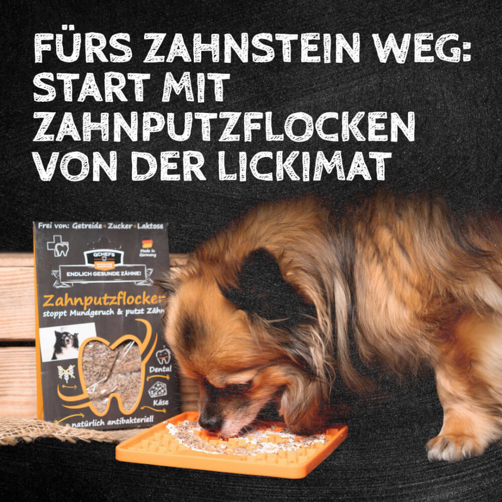 QChefs Zahnputzkohle HUND 80g