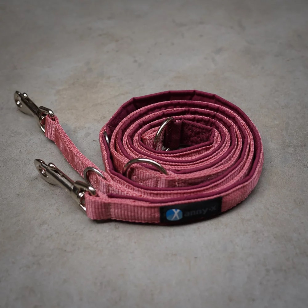 annyx Führleine Classic Bolt Fun bordeaux / wunschrosa (Limited Edition)