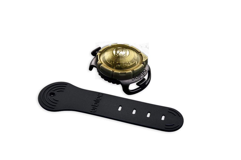 Orbiloc Dog Dual Light gold